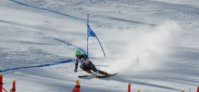 ligety0203.jpg